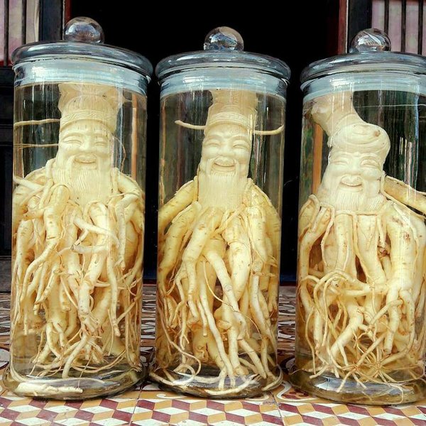 Quà tết sức khỏe cho ông bà